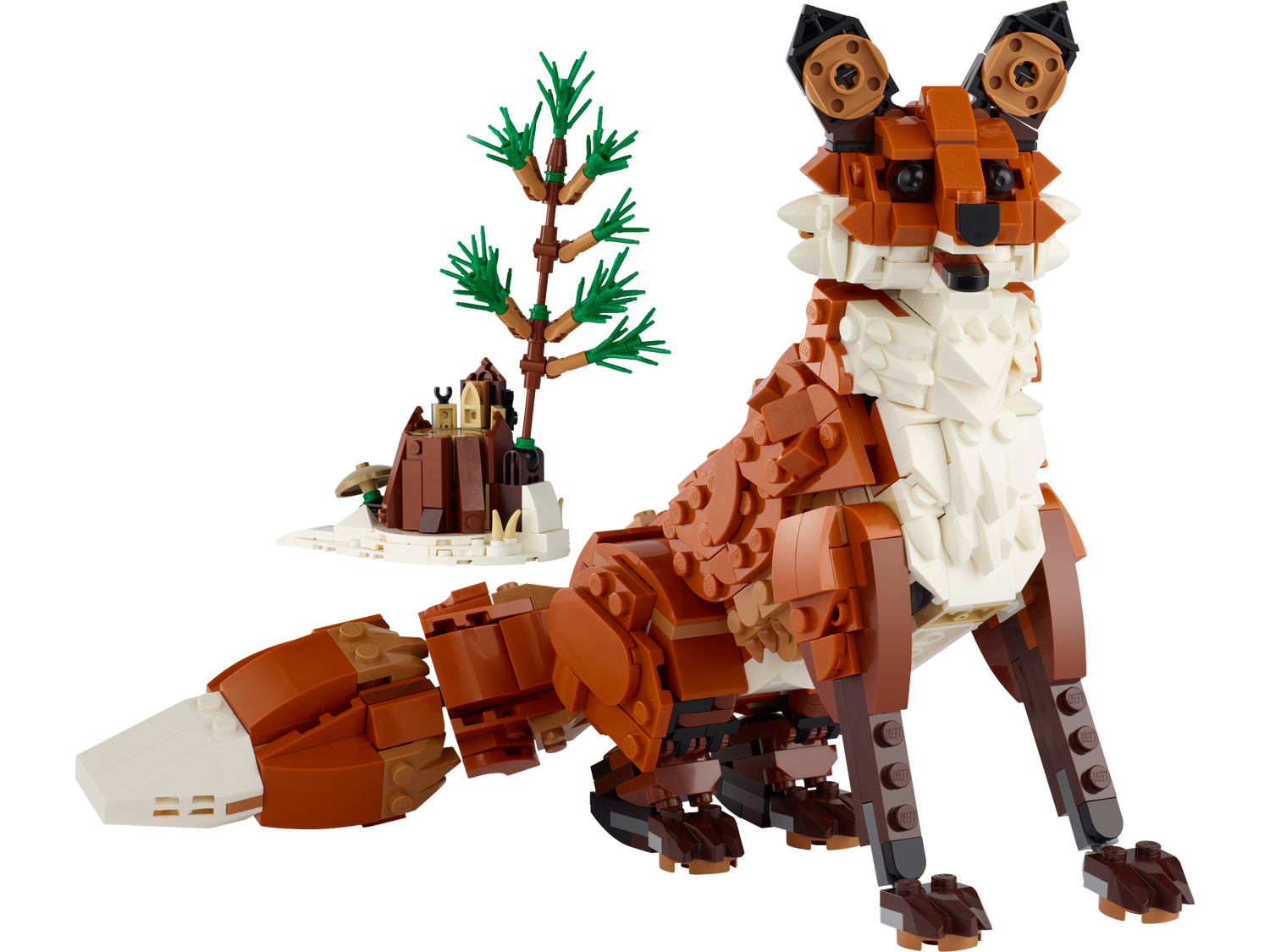 Forest Animals: Red Fox
